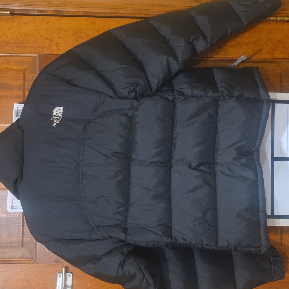 Retro NorthFace Down Jacket (2005) - image 4